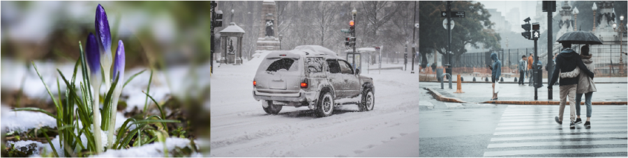 crocus appearing through melting snow, a car in a snowstorm, and people walking in the city during a rainstorm