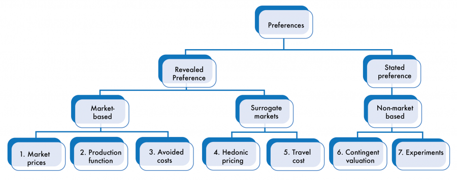 Economic Valuation Diagram