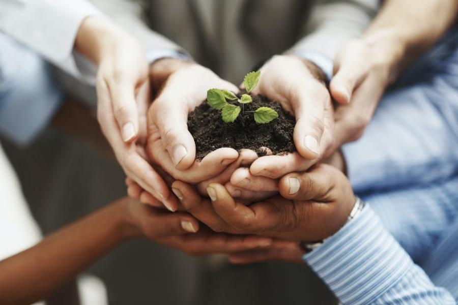 Pairs of hands holding dirt with a young plant sprouting from the dirt