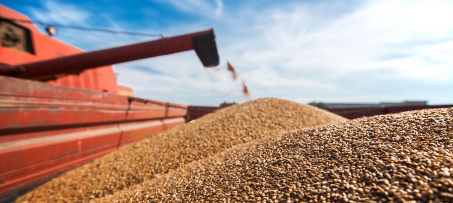 A closeup of a grain-harvesting machine