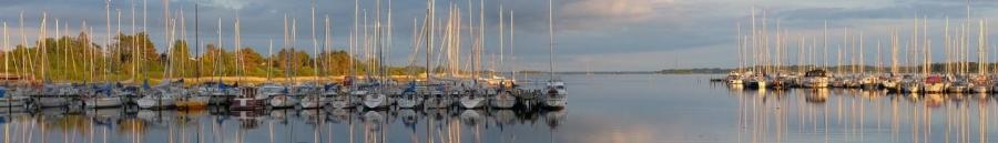 boats in a marina 