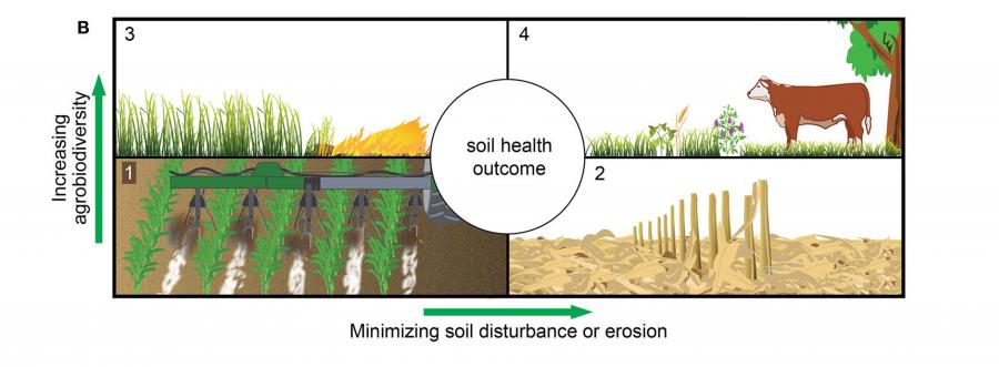 Figure 1 from Basche et al. 2020