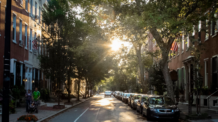 An image of a Philadelphia city street lined with trees. On the right side of the street, trees are much taller and larger than trees on the left-hand side of the street.
