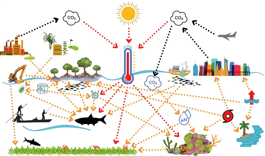 This figure shows the cascading effects of anthropogenic-derived climate change on subtropical and tropical flats fisheries and the coastal habitat mosaic.