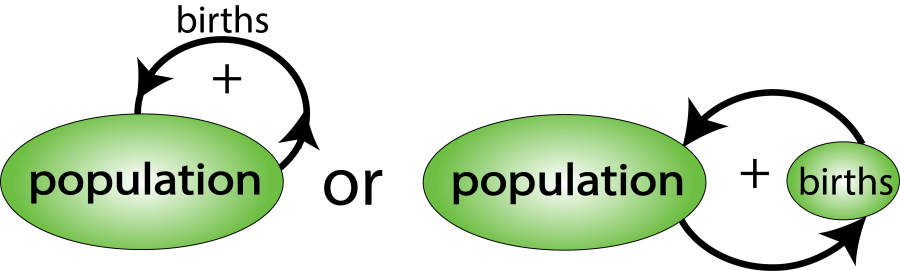 A concept map showing two different ways of how birth rate and population size relate to one another