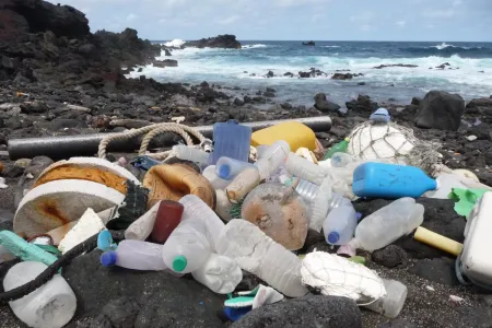 Plastic and other debris lying on a beach