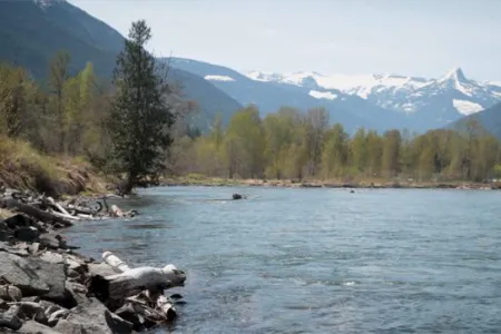 The Columbia River with a snow-capped mountain in the background