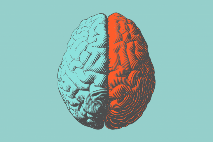 An illustration of a brain showing its two distinct sides 